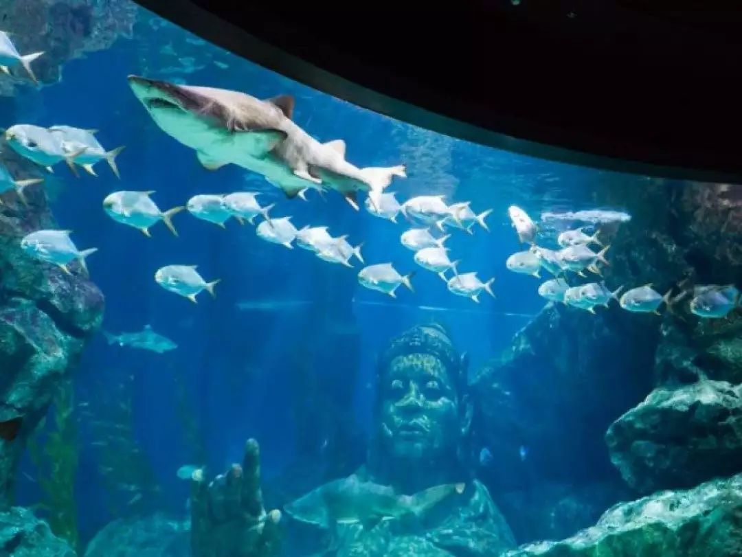 曼谷五星酒店超值特价|推荐了这么多年,这真是