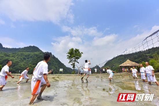 张家界首届民宿旅游文化节举行 吸引中外游客参与