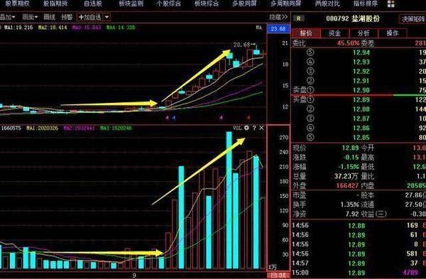 谁在操纵中国股市，主力机构全部阵亡，A股开启“火灾”倒计时