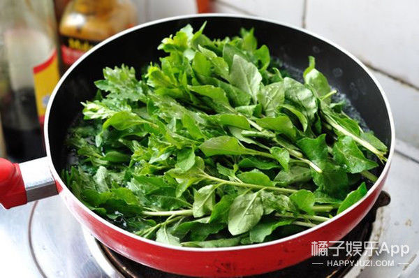 不负春光不负卿，来颗野菜行不行?