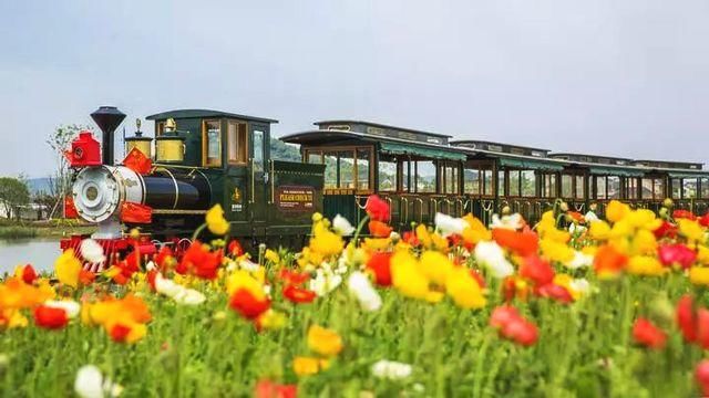 浙江隐藏的7条如诗如画的绝美“天路”你去过几条？