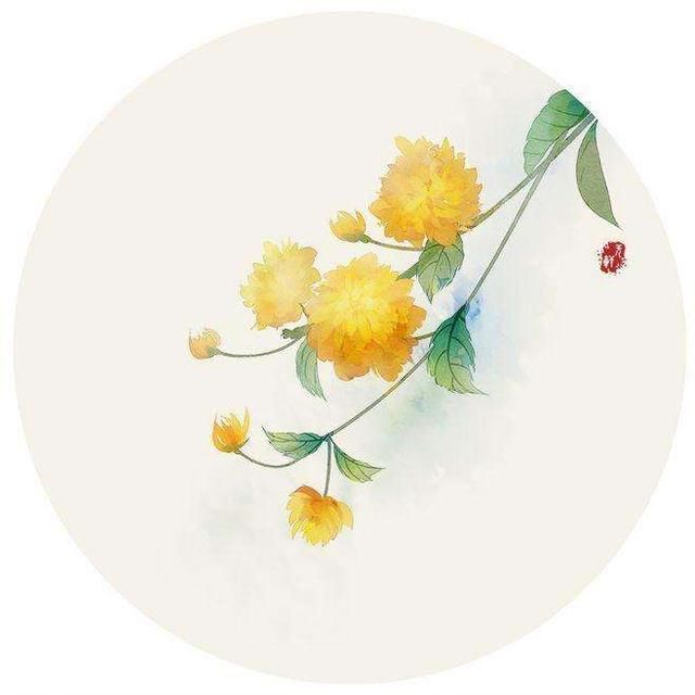 佛系人生感悟的句子 t01889d9a27997a997a.jpg