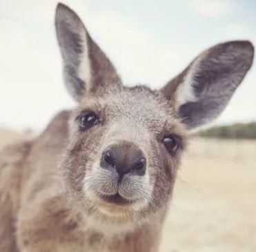 德力行 | 2018年不买房子，你是在等涨价?还是你的钱有更好的去处