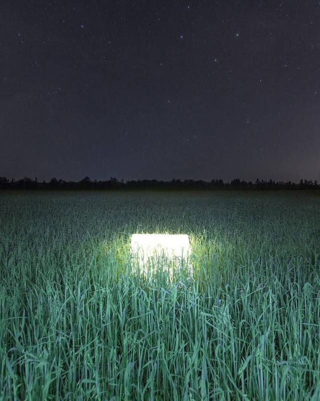 最腹黑!这三个星座真的不好惹啊
