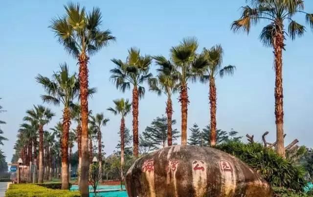 4天3晚自由行?玩转厦门所有景区最强攻略!