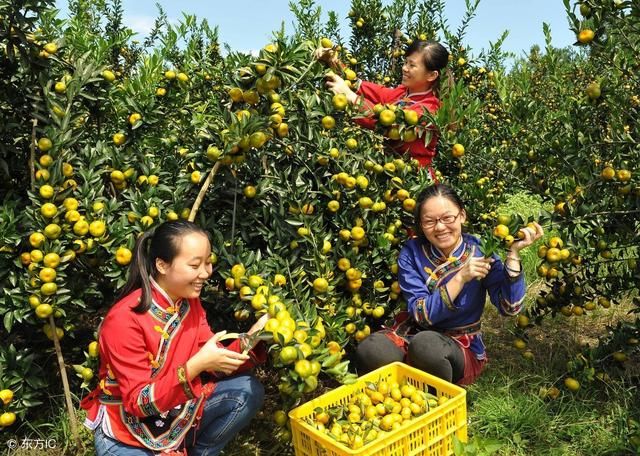 老板车祸破产,酒肉兄弟不见一个,算命先生:贵人在眼前