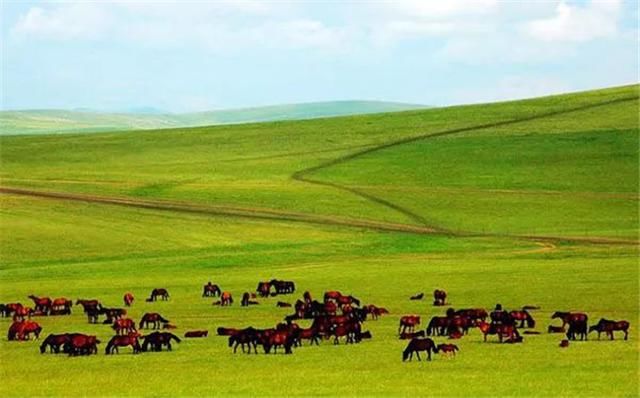 这世界许你一双脚,就请走出自己的精彩!