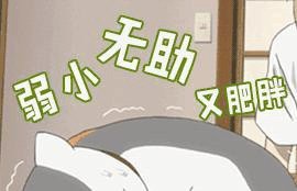 会不会防晒,决定你80%的颜值 必发88手机版下载
