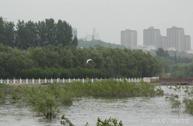 河南修建了一段“天河”，悬空横跨沙河之上，综合规模世界第一