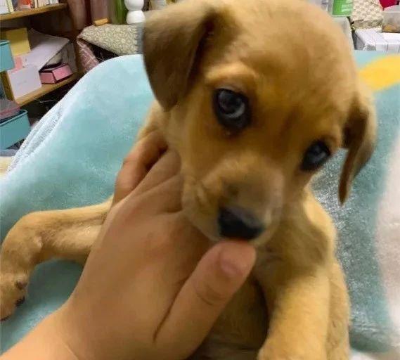 闲鱼卖东西安全吗