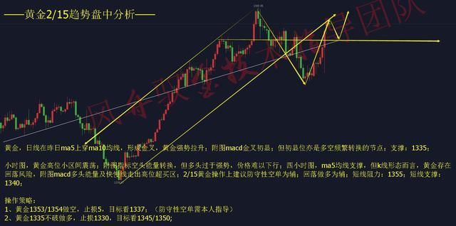 2\/15风舟驭金:黄金2浪上涨未完，除夕谨防回落!原油多头复苏!