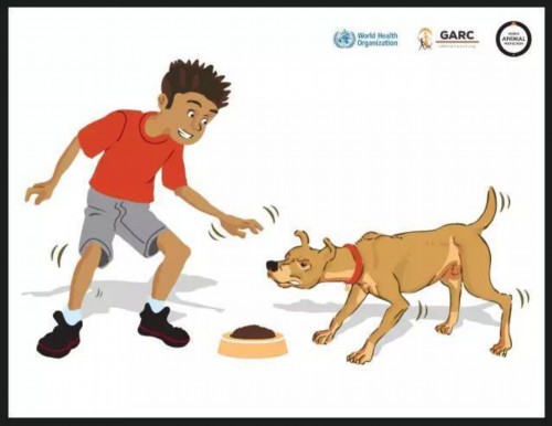 周公解梦，梦见被狗咬后将狗杀死的深层含义与心理解析