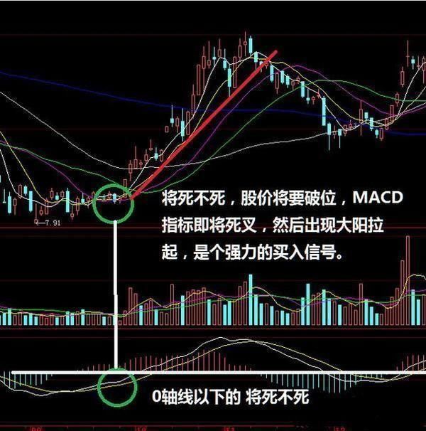 中国股市天才的滴血教训：一旦散户耐得住洗盘，几乎从不被套