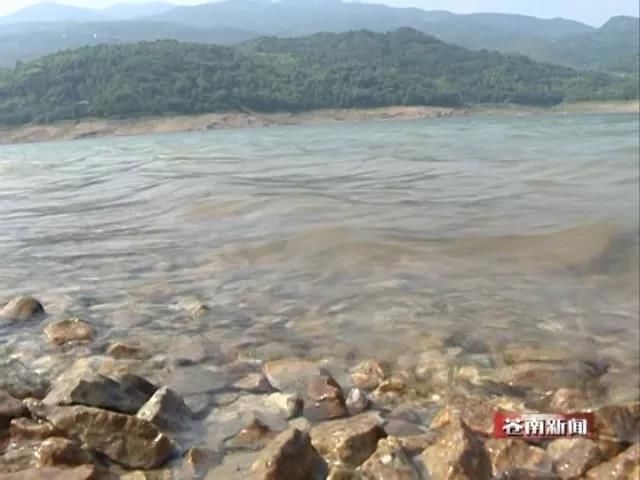 水库告急！蓄水量不足 苍南出现供水紧张