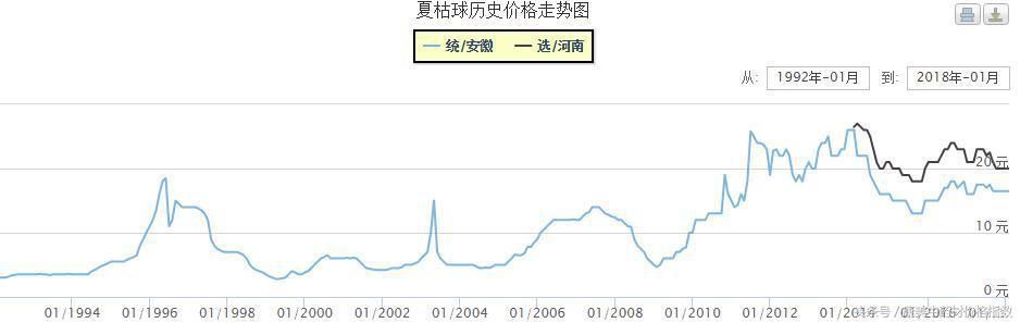 近来哪些小品种药材较受关注？