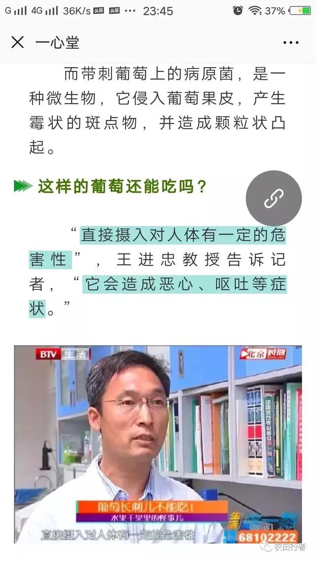 网络谣言又起，建水县葡萄价格大跌，农民种地不易，请不要传谣！