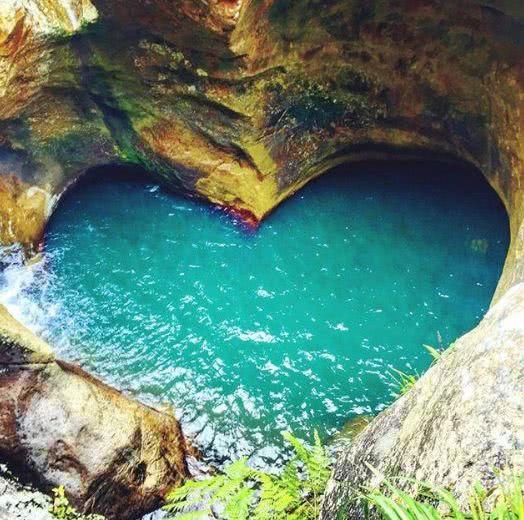 密集恐惧症误入！澳洲这地方竟成为网红景点，百万瓢虫挤成一坨