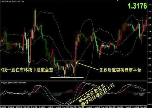 中国股市真正的春天来了？保护散户等同于保护中国股市！