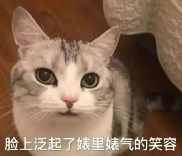 因为猫,男朋友已经三天没理我了… dafa888在线