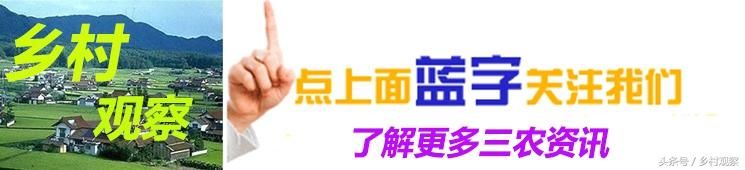 2018年土地确权后，出现这几种情况，不能继承土地