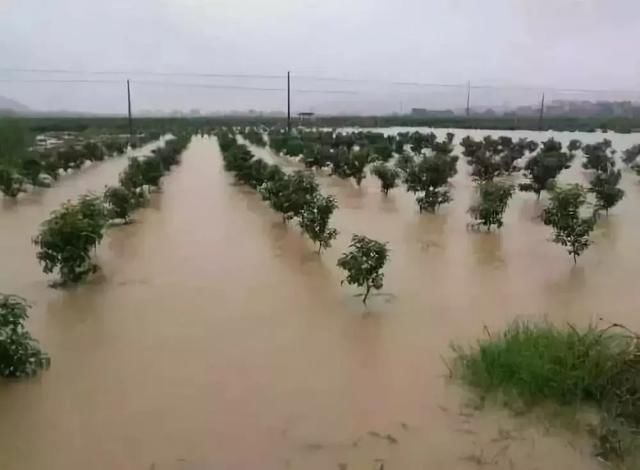 走了“厄尔尼诺”，来了“拉尼娜”，专家预测今年雨水将显著增多