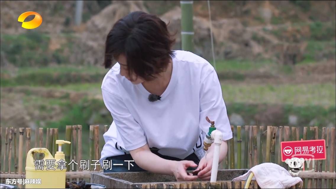 《向往的生活》李小冉洗碗洗菜一直开着水龙头浪费水?本尊回应了