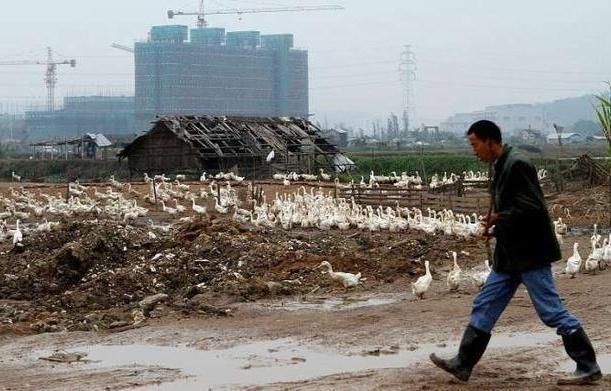 专家:房价高是因为地价高，地价高是因为开发商拍出来的