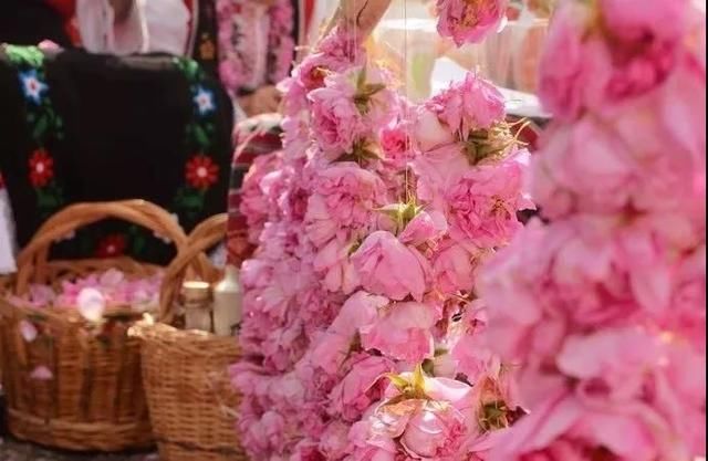 也许你现在该来这里：上帝私藏的后花园