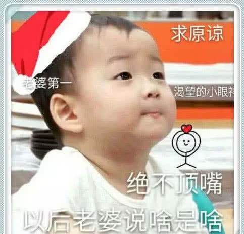 哄女友表情:久闻表情避雷有方,鄙人今后愿闻治家姑娘包图片