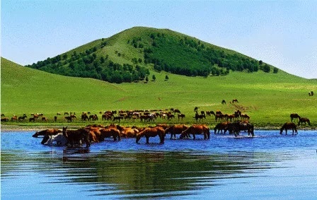 威县多少人口_威县地图