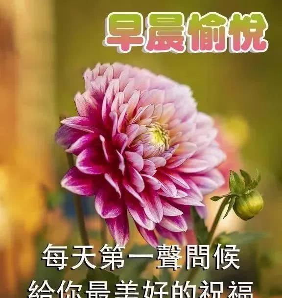 早上好励志祝福语录