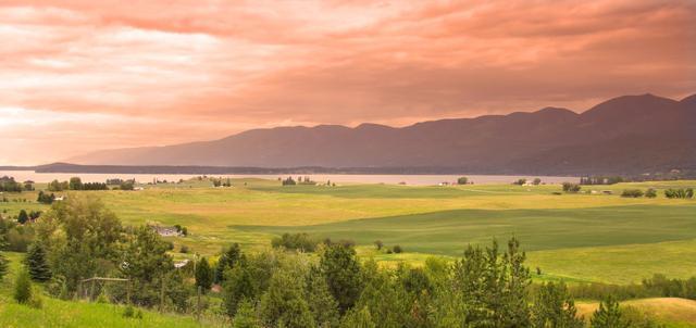 佳能小画幅相机