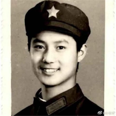 央视元旦联欢节目