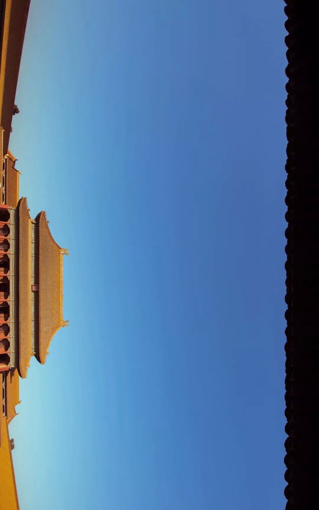 抢不到故宫夜景的票,看看白天的故宫景色有多