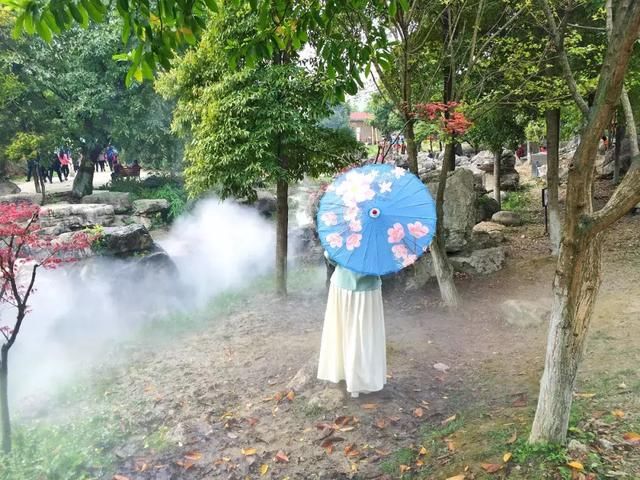 青白江凤凰湖的樱花终于开了，门票免费，再也不用去日本看樱花啦