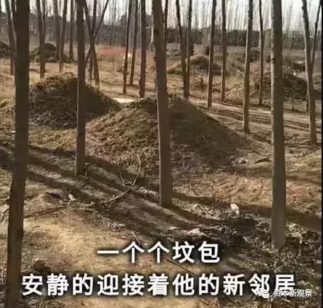 荣盛业主拒收“坟景房” 总部维权遭保安殴打