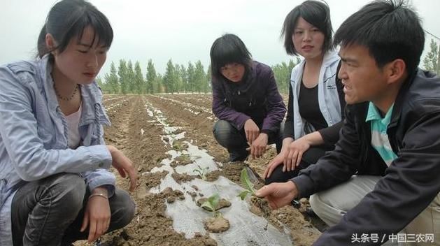 大多农村大学生为什么不愿意回农村工作？