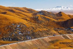 感受生命之巅:茂盛和荒凉并存,雪山和绿地共舞
