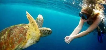 扩散!泰国已封&即将要封的海岛火速了解一下!