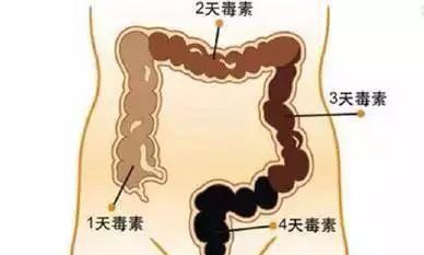 春节后长痘便秘体重飙升?你的肠道有太多垃圾!令人惊恐!