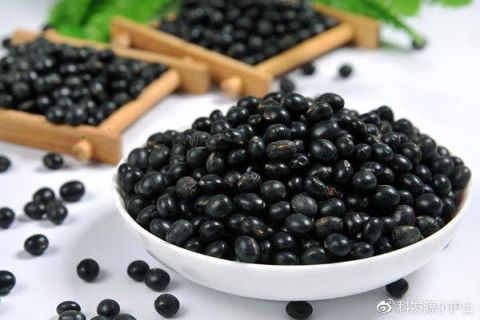 头发越爱越少 快试试这些食疗方法吧