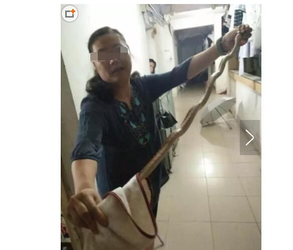 梦中他人擒蛇，暗藏何种玄机？——解梦梦到别人抓蛇的深层寓意