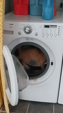洗衣机洗洗要多久