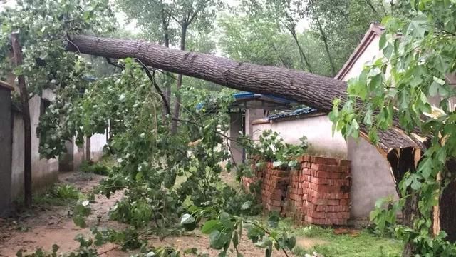 明天有暴雨！多图震撼直击：阜阳昨天的10级大风，156毫米降水后