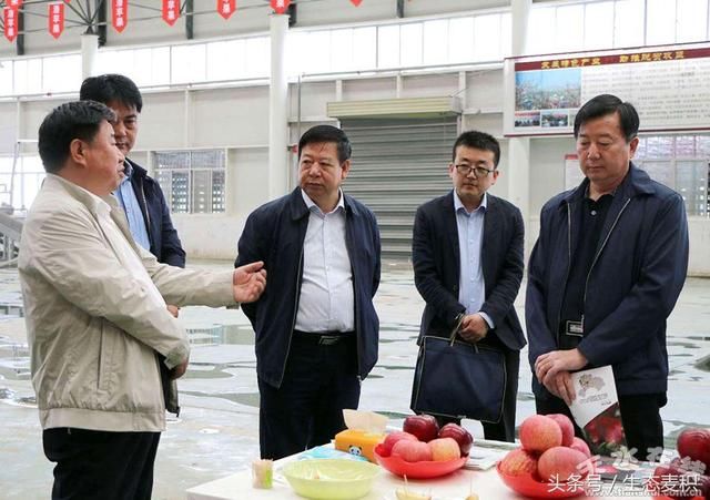 甘肃省林业厅调研麦积区林业贷款贴息项目进展