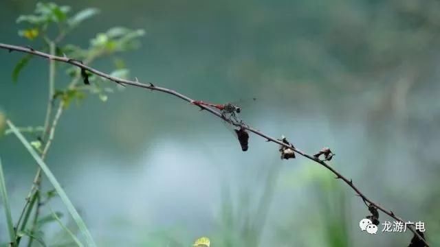 每一寸光阴都在衢水墨香中饱满