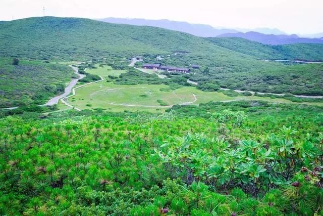 四川最美的城市，这里有峡谷、林海、古村、花海...