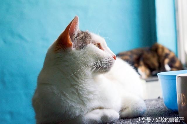 特朗普总统签署行政令禁止新加坡博通公司收购