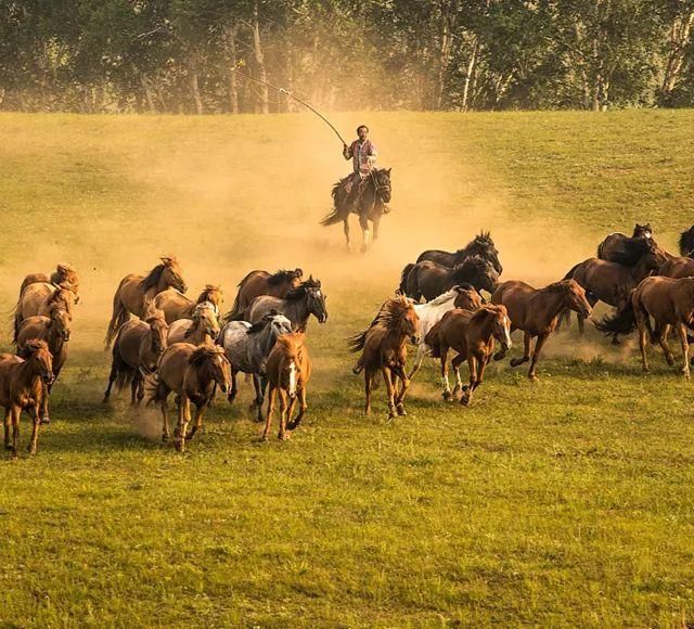 7月走进坝上、走进草原、走进盛夏的乌兰布统！