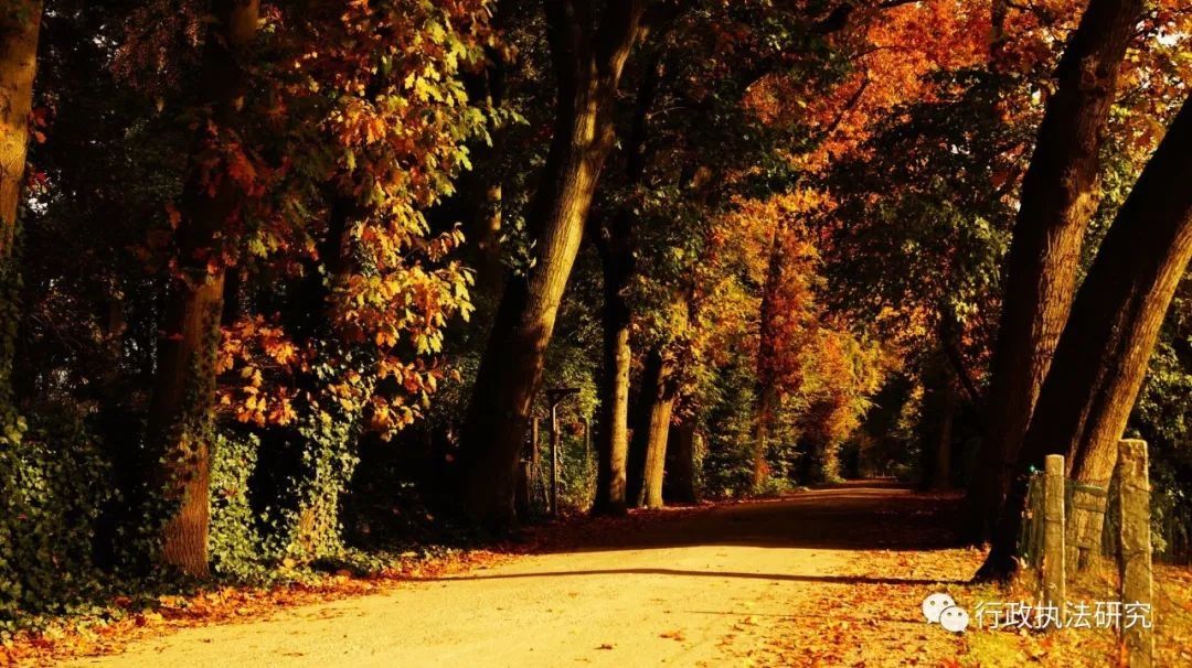 违法所得的认定